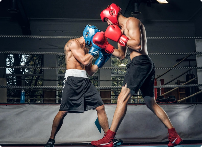 White Label Boxing Betting App Development